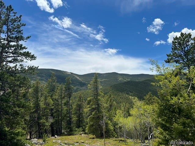 Image 1 Image 1