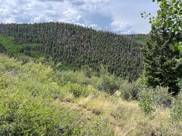 Image 2: Near SE corner.
