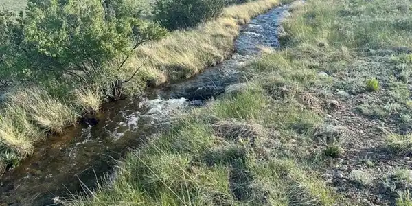 Image 3 Image 3