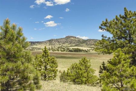 129 Eagle Nest Trail