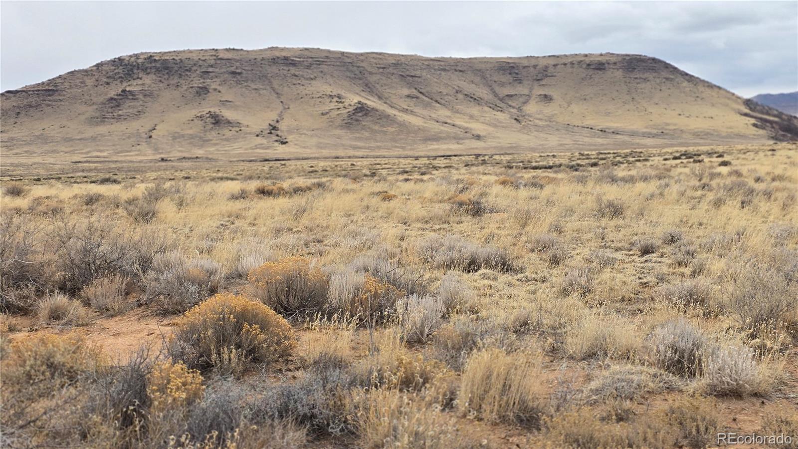Image 1 Image 1