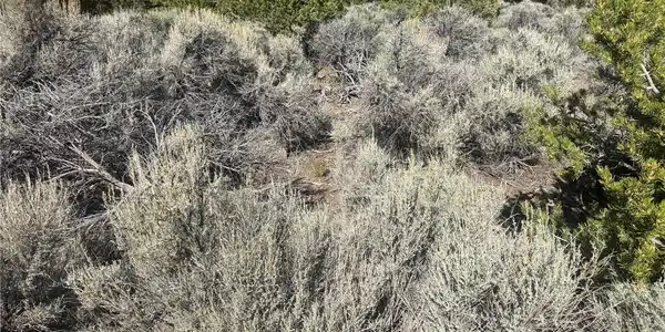 Image 4 Image 4
