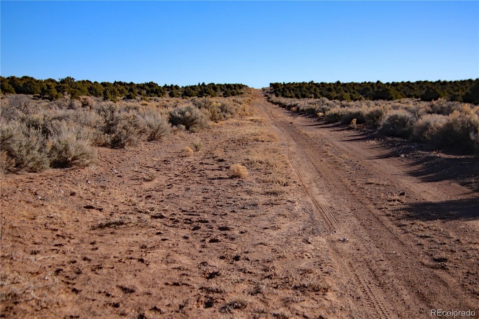 Image 4 Image 4