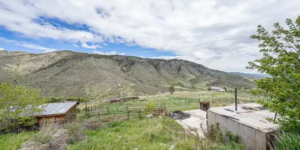 439 Redtail Ridge Way