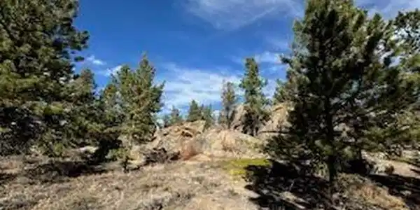 Image 4 Image 4
