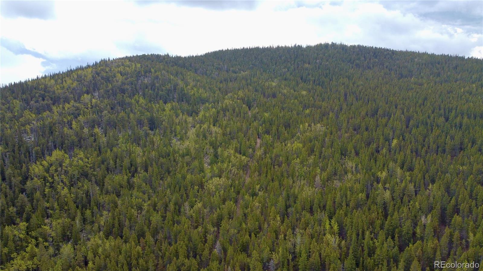 Image 3 Image 3