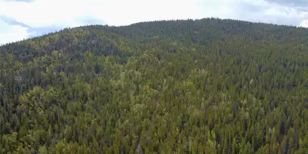 Image 3 Image 3