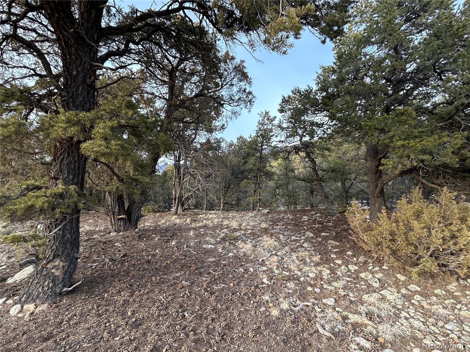 Image 3 Image 3