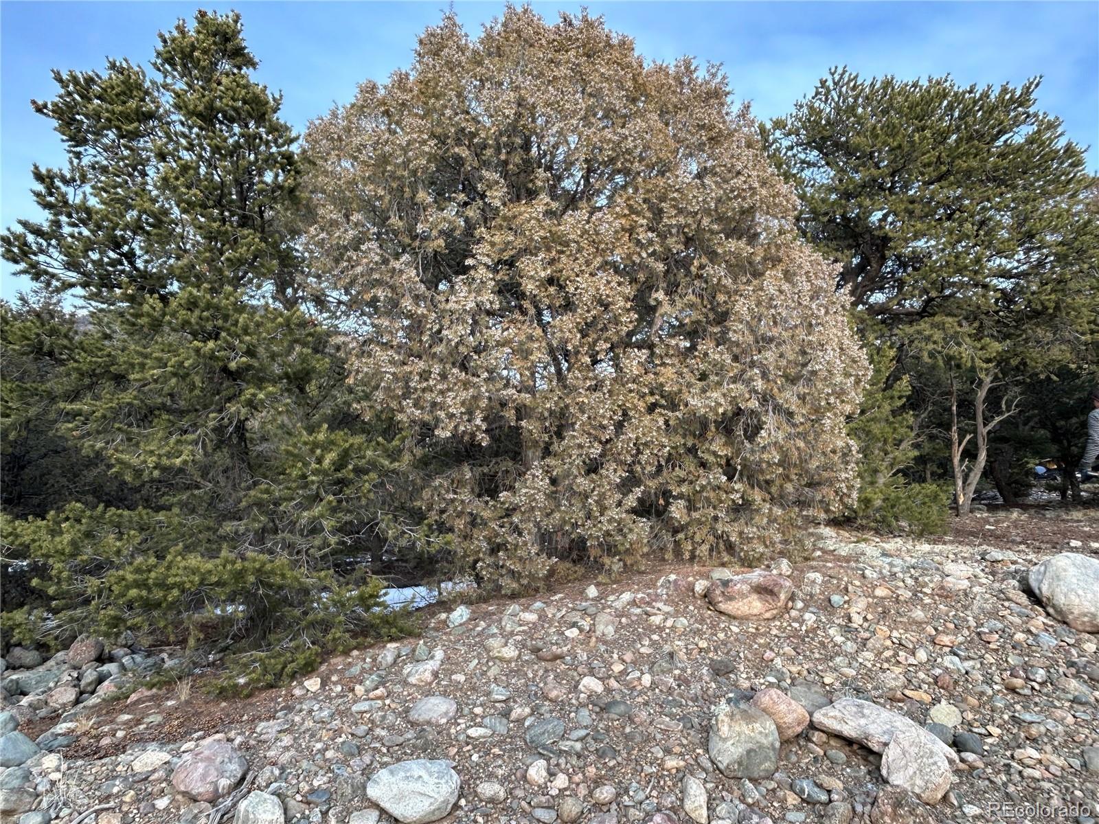Image 4 Image 4