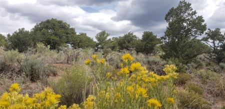 Lot 6969 Trinchera Ranch Road