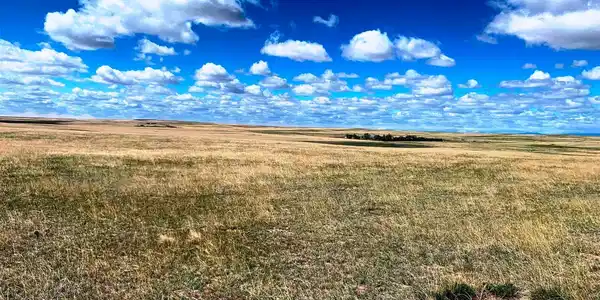 0 County Road 53