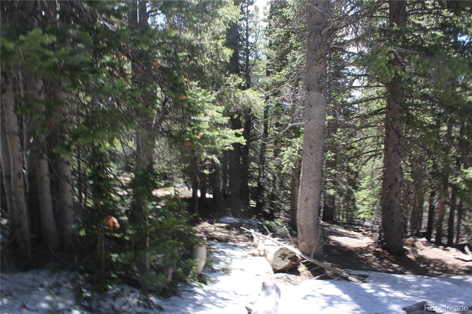 Image 4 Image 4
