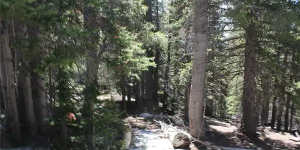 Image 4 Image 4