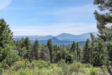 26526 Gray Buck Trail