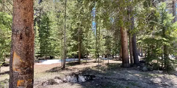 15 Wilderness Drive
