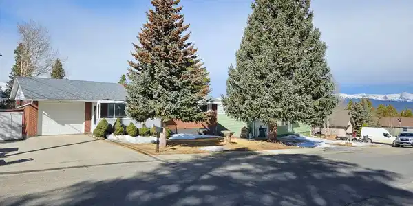 602 Dexter Street