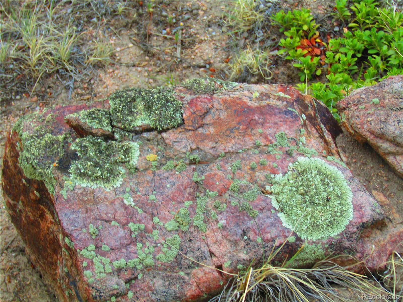 Image 4 Image 4