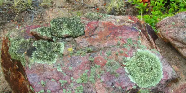 Image 4 Image 4