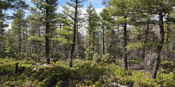 Lot 6070 Vreeland Road