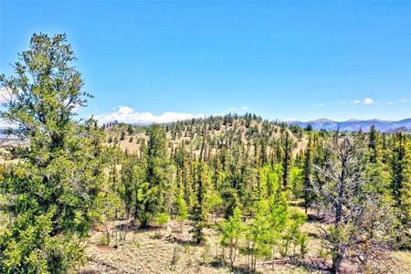 445 Warpath Road