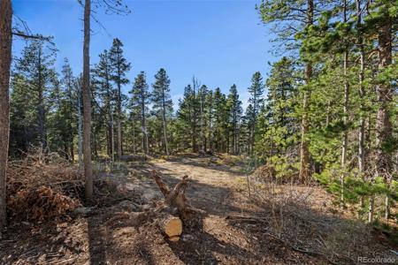 00 Severance Lodge Rd