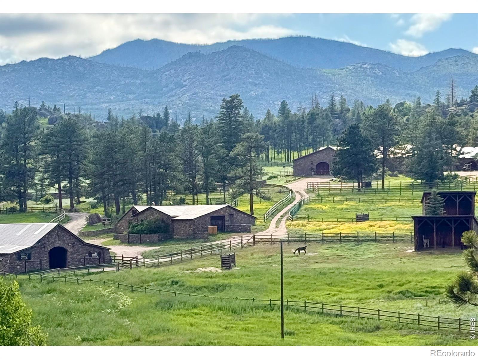 Image 4: Lower 12-stall barn, equipment building, loafing sheds, and lush pastures.