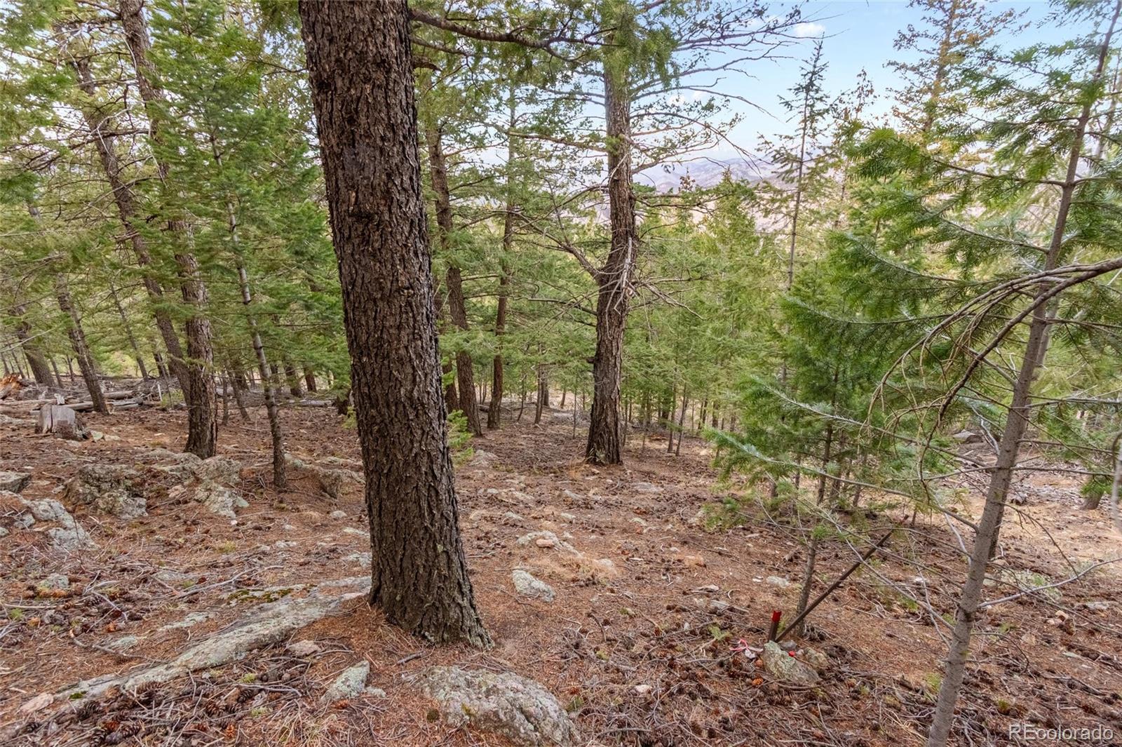 Image 4 Image 4