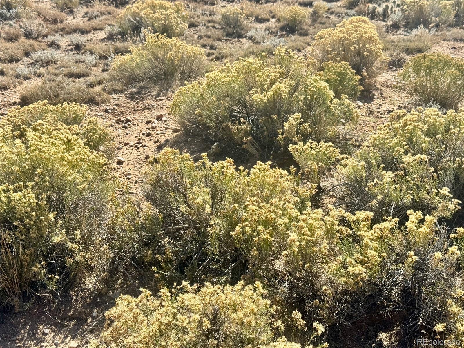 Image 4 Image 4