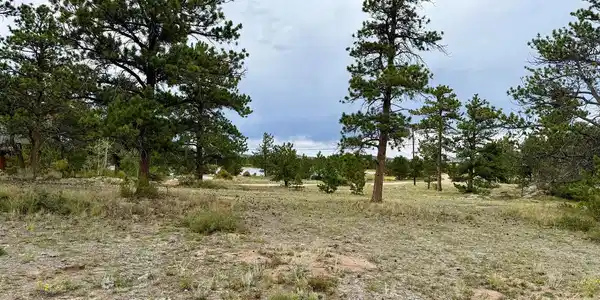 Image 3: Large Lot Image 3: Large Lot