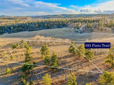 593 Pinto Trail