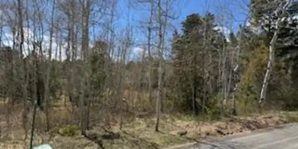 Image 4 Image 4
