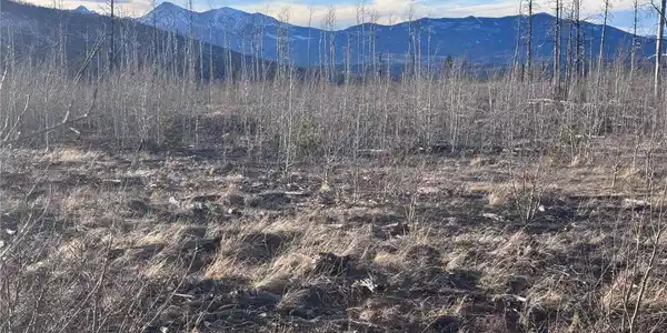 Lot 1290 Clayton Road