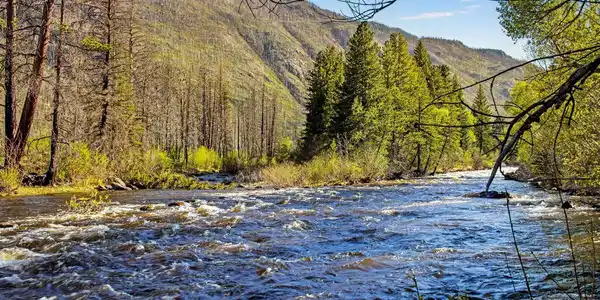 Image 2: This property features over 1000 feet of the Cache la Poudre River. Image 2: This property features over 1000 feet of the Cache la Poudre River.