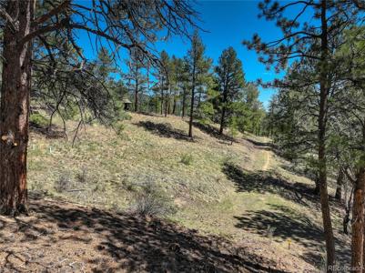 000 Hayden Ridge Road