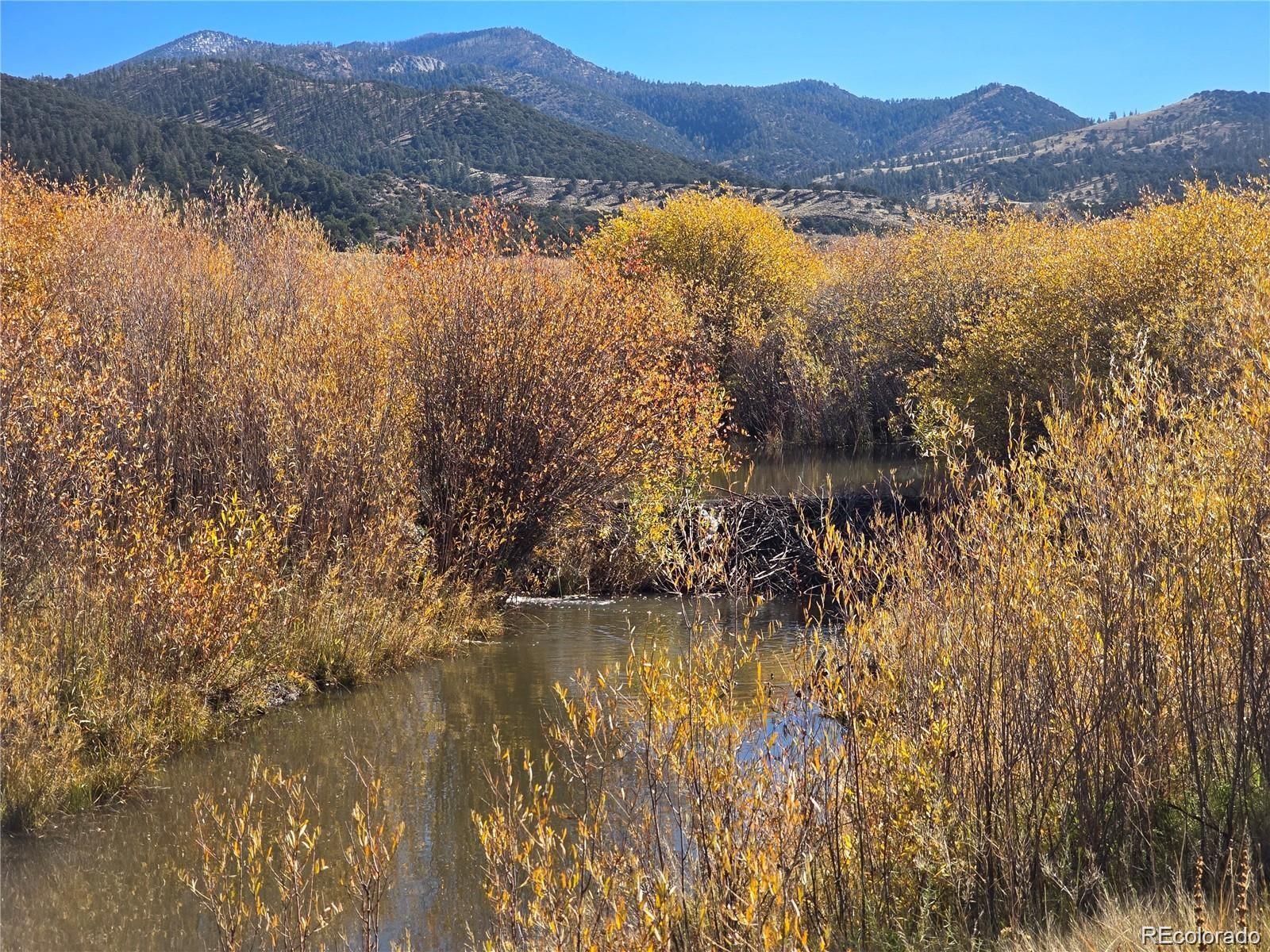 Image 1: Fall picture Image 1: Fall picture
