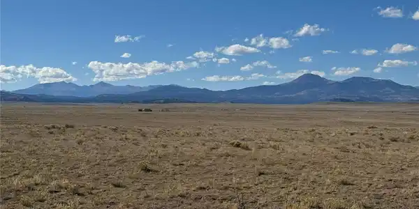 Image 4 Image 4