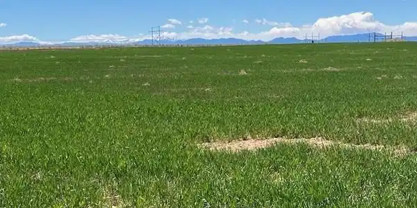 TBD County Road 19