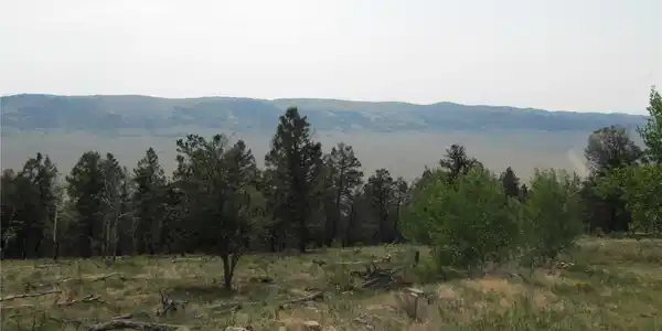 Image 4 Image 4