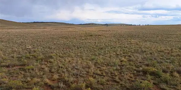 00000 Kiowa Road