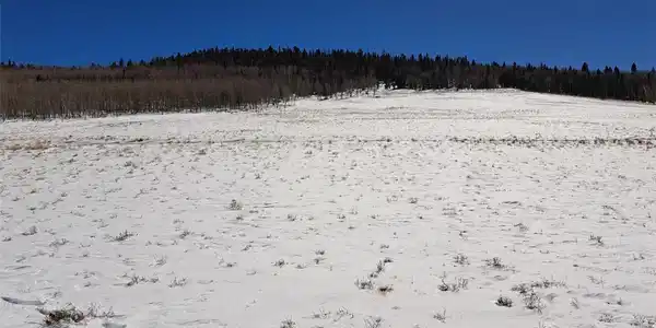 00 Jicarilla Trail