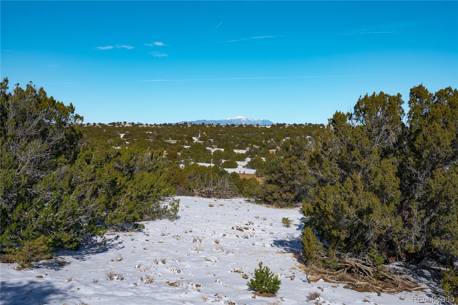 Image 3 Image 3