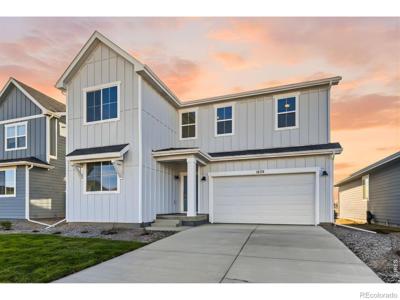 232 Sugar Beet Lane