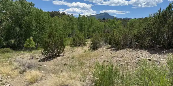 Santa Fe Trail Drive