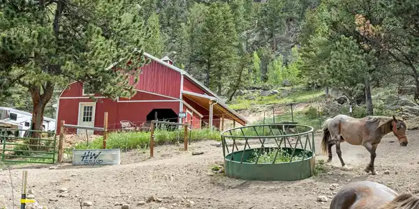 Image 3: Set up for horses Image 3: Set up for horses