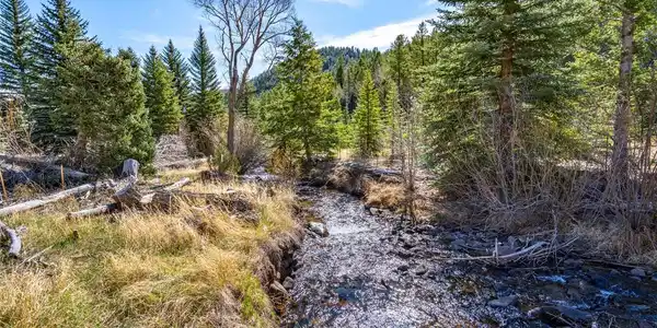 1851 Hwy 103