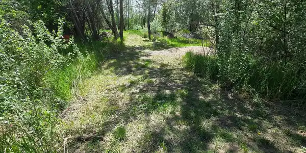 Image 4 Image 4