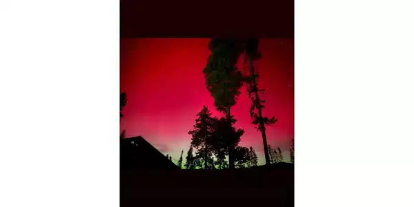 Image 2 Image 2