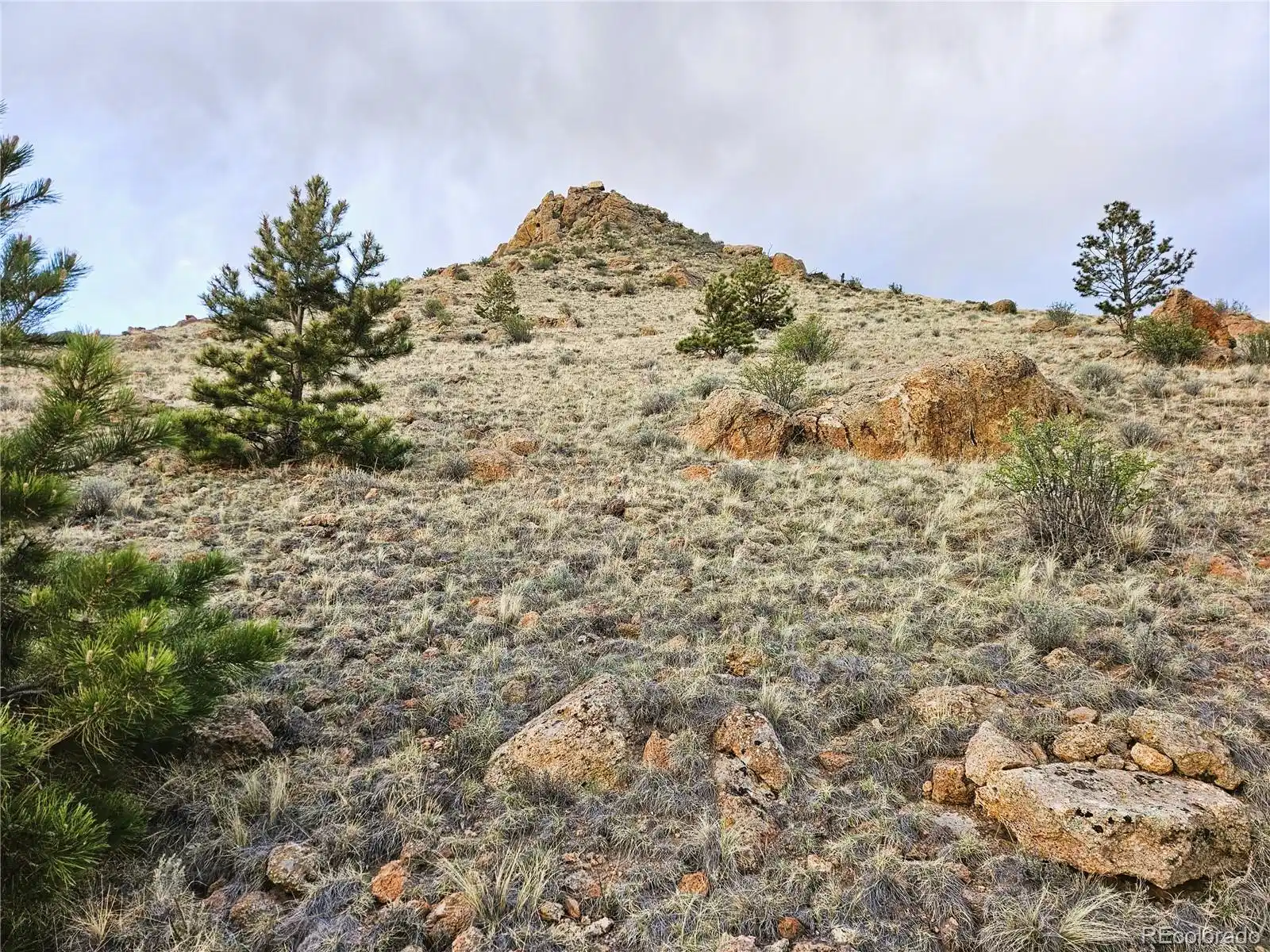 Image 1 Image 1