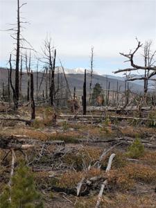 Lot 2301 Wohlstetter Loop