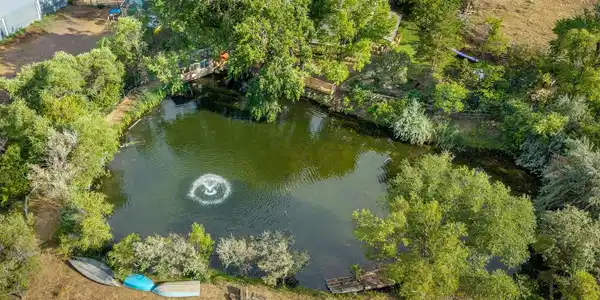 Image 4: Pond with water feature.